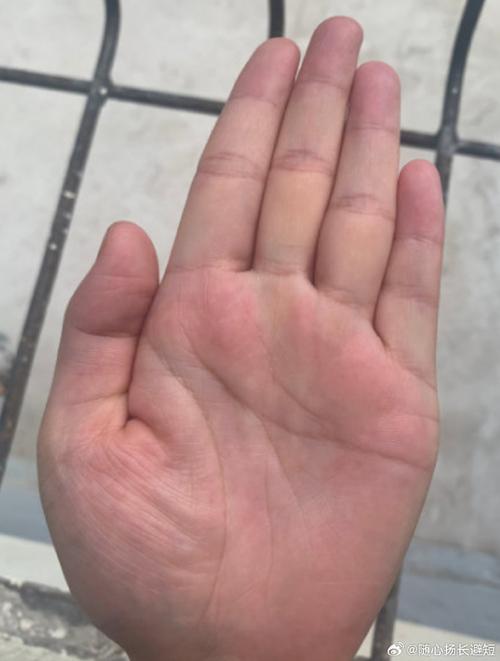 早晚飛黃騰達的手相特征
