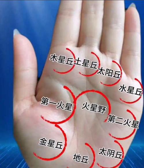 火星丘的發(fā)育情況表示了什么?