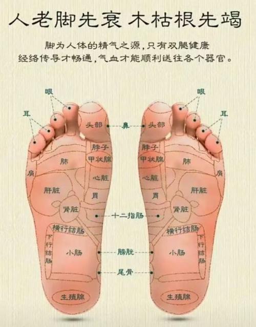 男人腳底有痣代表什么意思，能封侯拜相？