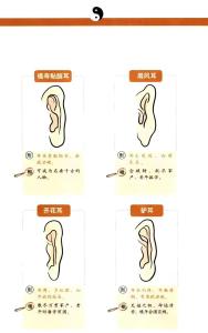 面相有福氣的耳朵富貴有福