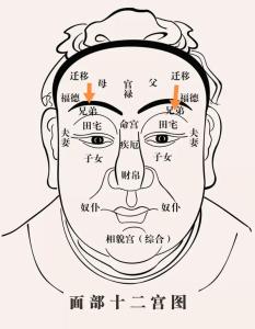兄弟宮有痣代表什么意思，容易與人交惡？