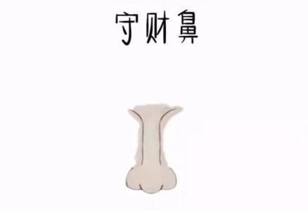 男人最有福氣的鼻子圖片 鹿鼻男人娶賢妻女人嫁良夫