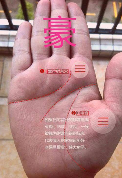 住豪宅命的手相特征