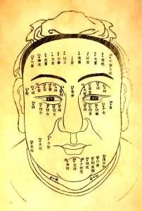 面相圖解 男人有懸針紋的運(yùn)程