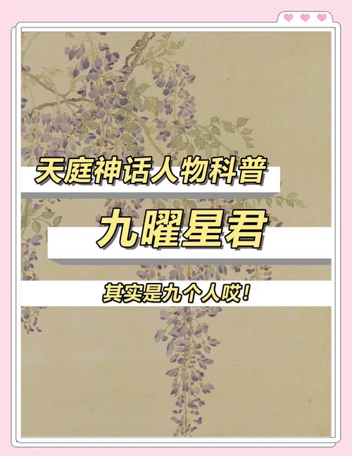 命坐天權(quán)星的人