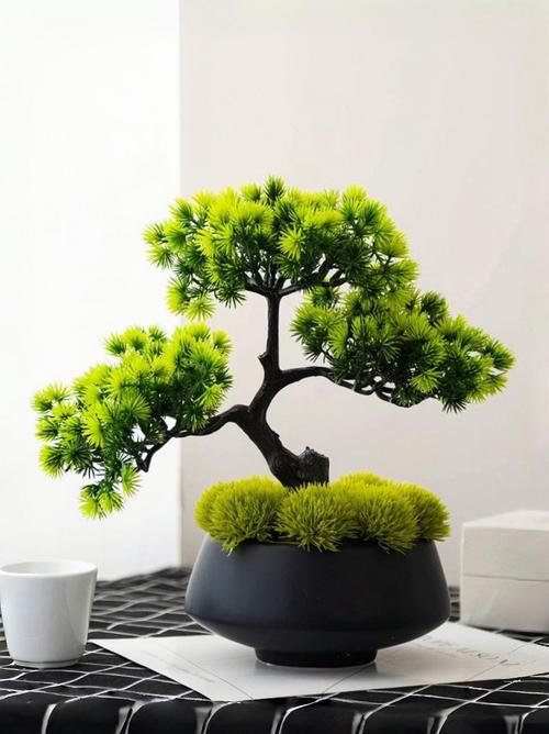 進(jìn)門(mén)對(duì)面放什么擺件好  進(jìn)門(mén)見(jiàn)綠心情愉悅