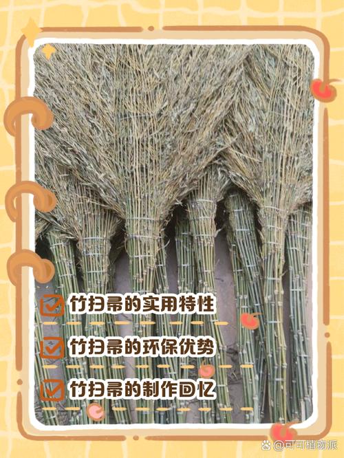 辟邪最靈的20個(gè)物件 竹質(zhì)掃把有辟邪作用
