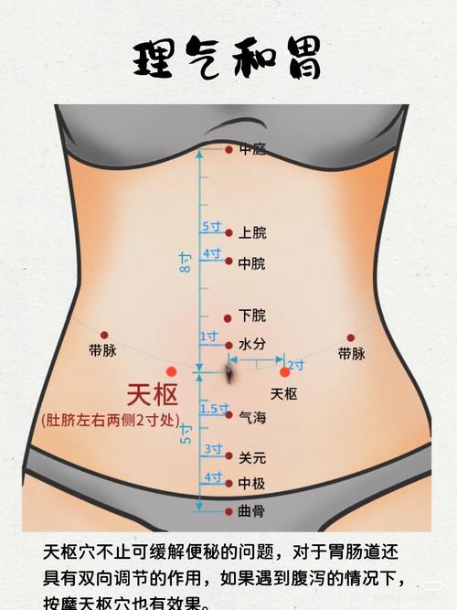 天樞的準確位置和功效