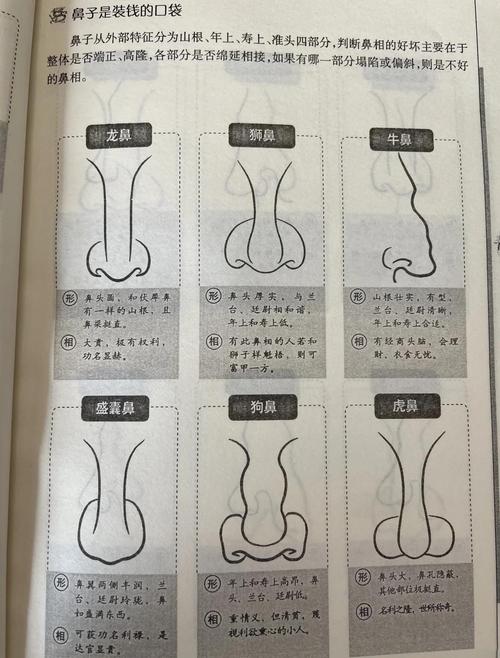 男人高鼻梁命運(yùn)怎樣？在事業(yè)上能夠有所收獲！