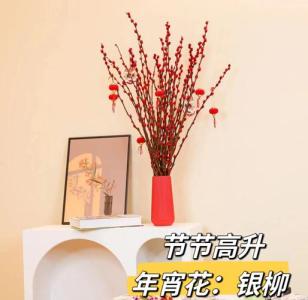 客廳擺什么干花最好 什么樣的干花招財(cái)