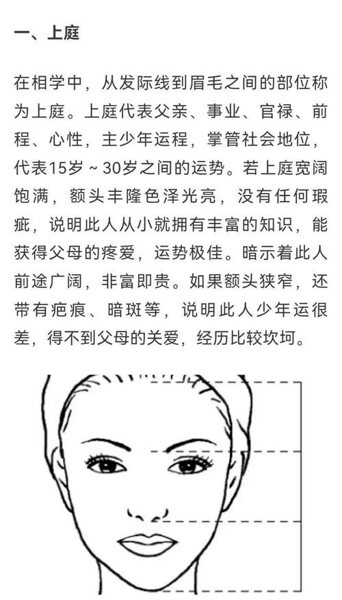 什么是三停