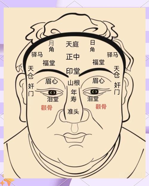 全面解讀面相如何看顴骨