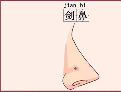 劍鋒鼻的人好不好，劍鋒鼻面相代表什么