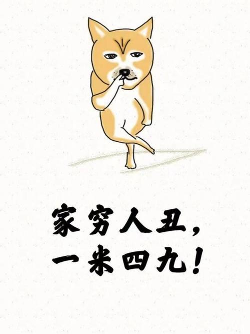 單身狗的快樂 容易單身的面相