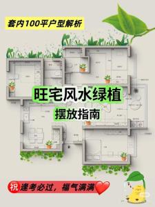 家居綠植的風水有何講究