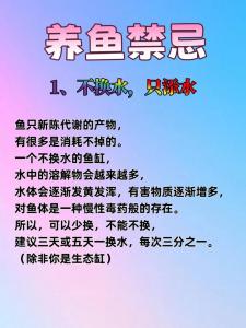 哪五種人不宜養(yǎng)魚，養(yǎng)魚禁忌