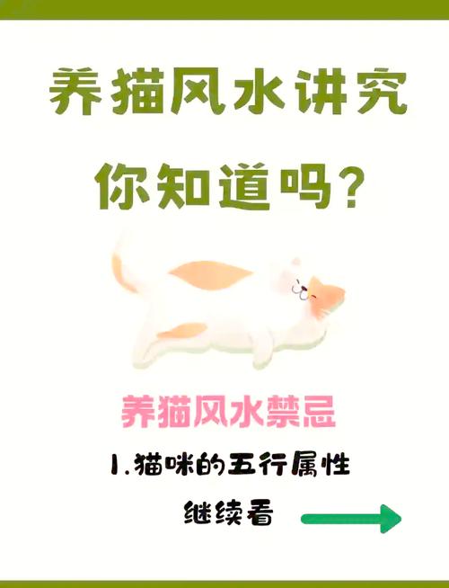 家里養貓對財運好不好  注重房宅與八字