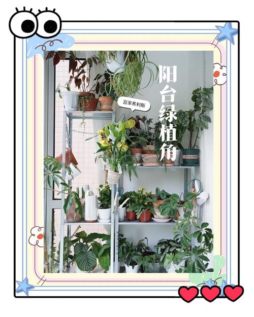 西北方向是陽臺如何改善氣運  擺放植物財氣不斷