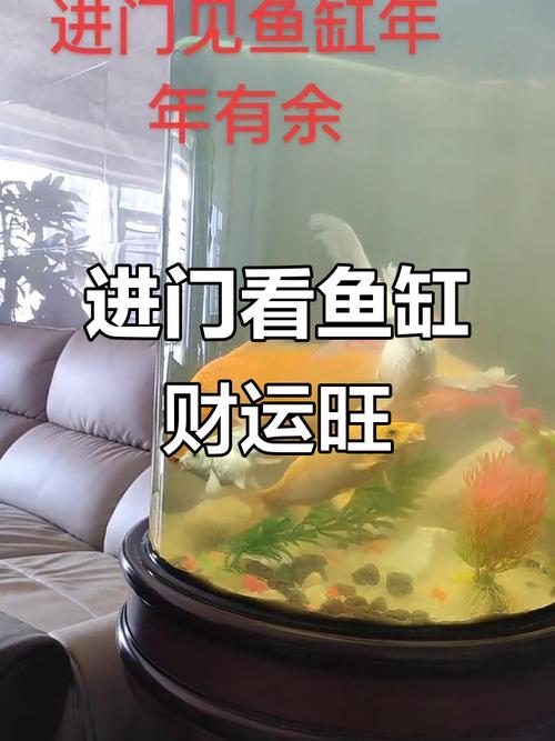 從風(fēng)水學(xué)看進(jìn)門(mén)見(jiàn)魚(yú)缸風(fēng)水好嗎 散盡財(cái)氣不利發(fā)展