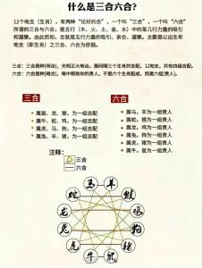 地支有三合局的八字怎么看 六合入命容貌姿色美麗