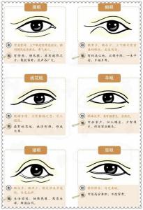 什么眼型是富貴命,面相看哪些人具有富貴命