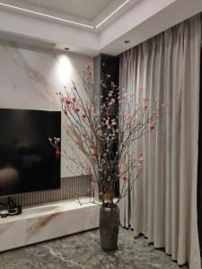 客廳插花選哪些花 家里養什么花招財旺人