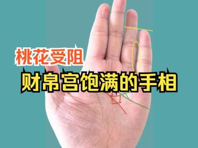 吉祥手相有哪些 財帛宮處厚實