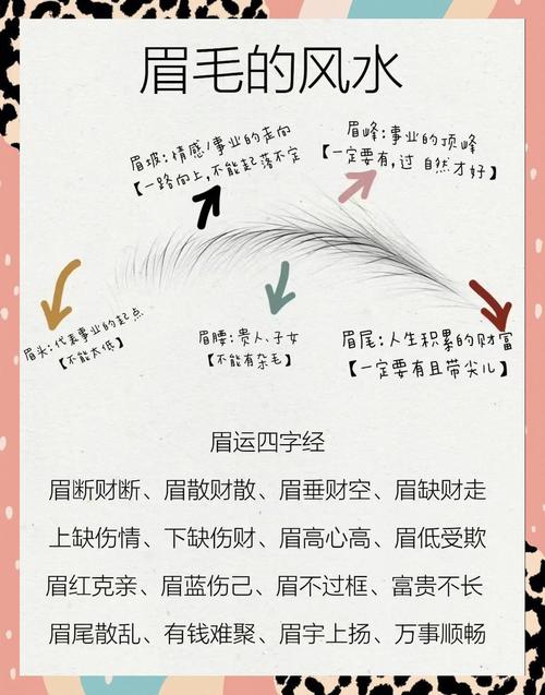 如何看一個(gè)人財(cái)運(yùn)是好是壞 看眉毛