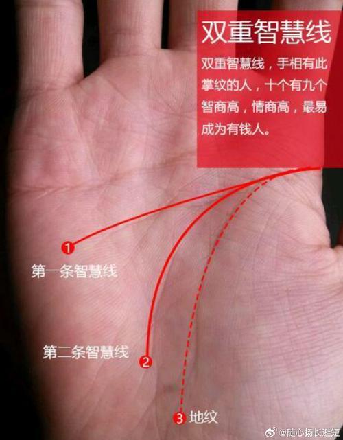 有兩條智慧線意味著什么呢