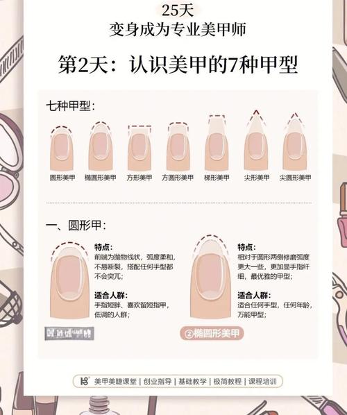指甲的形狀包含了什么特殊的信息?(一)