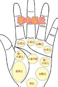 手紋相上各大星丘代表了些什么?