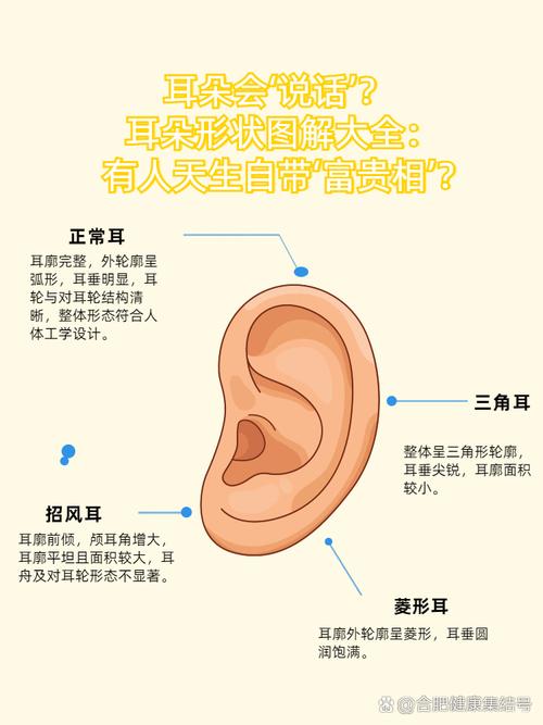 富貴人的耳朵是什么樣子 富貴耳朵解析大全