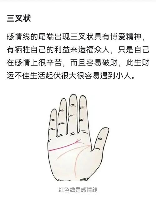 手相可以看未來愛情運嗎 感情運與手相有聯系么
