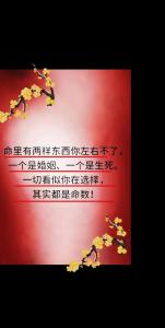 婚姻天注定半點(diǎn)不由人 萬般皆是命一切有定數(shù)