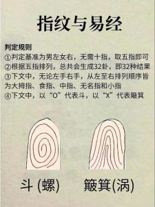 指紋算命8個斗女人是什么命