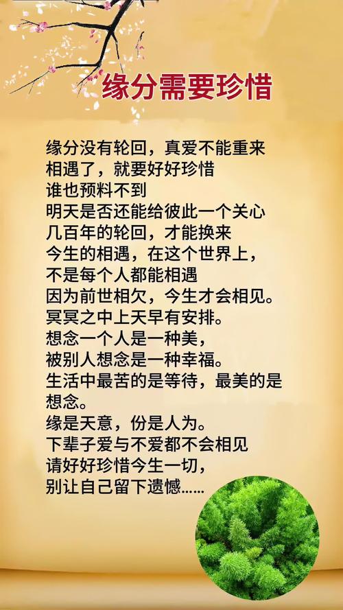 相遇是緣分的句子,表達相識是緣分的句子
