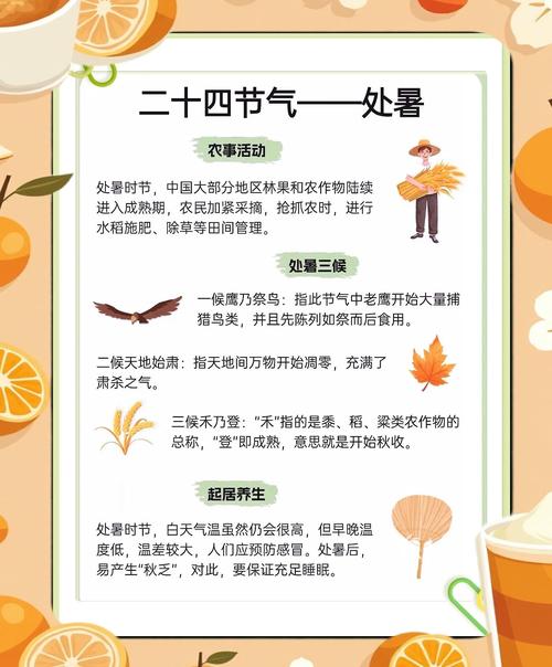 處暑節(jié)氣是夏天還是秋天 處暑屬于秋天的節(jié)氣
