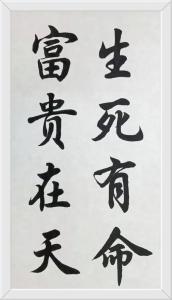 生死乃命富貴由天還是,“生死有命,富貴在天”指什么意思?
