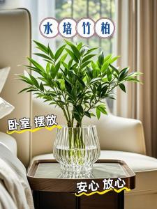 臥室中擺設花卉的風水知識