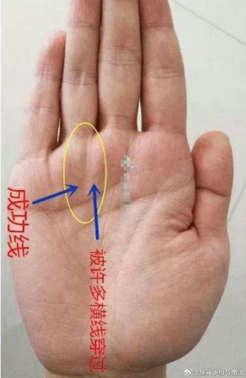這輩子注定苦命的人 事業線與太陽線欠佳