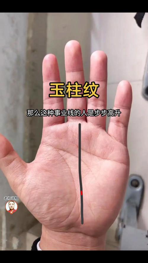 最完美玉柱線手相 玉柱紋命運(yùn)