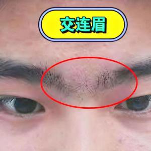 什么樣的男人面相不好 眉毛雜亂且眉頭相交
