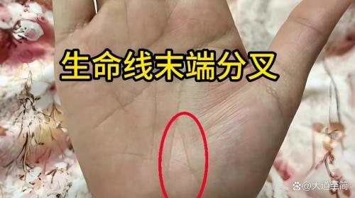 女人右手掌紋生命線分叉 在末端晚年運勢好