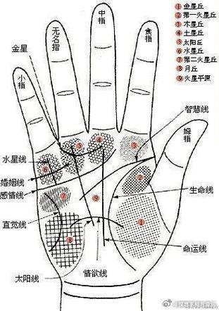 右手掌心食指長有痣代表什么好不好 右手掌心有痣的女人命運