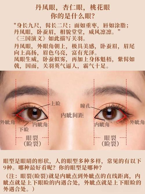 眼睛教你識人