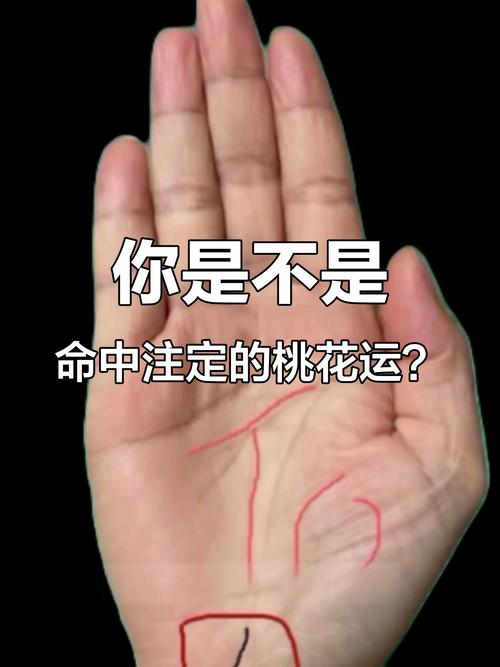 從手中指紋來(lái)看個(gè)人的桃花運(yùn)好壞
