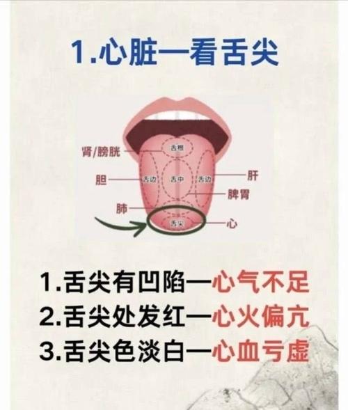 面相舌頭預示你的情感與運勢