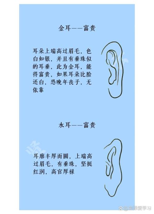 女生耳朵形狀圖解大全 最具領(lǐng)導(dǎo)型刀環(huán)耳