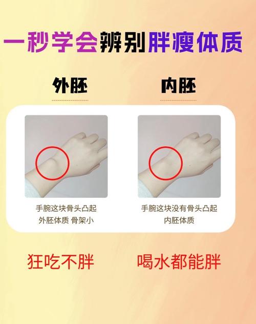 體相學胖好還是瘦好