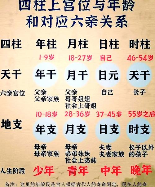 “人體的棟梁”如何影響一生運勢？